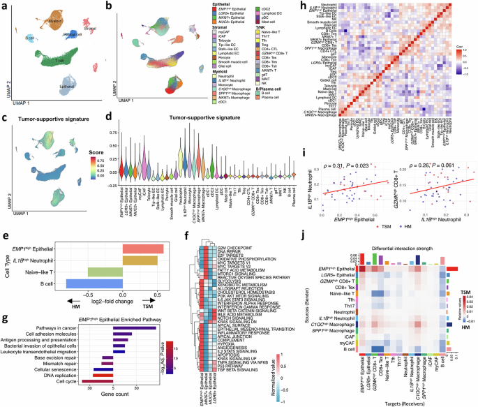 Fig. 4: Comprehensive analysis of tumors.