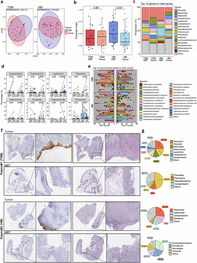 Fig. 6: 16S rRNA-seq and spatial distribution of eubacteria.
