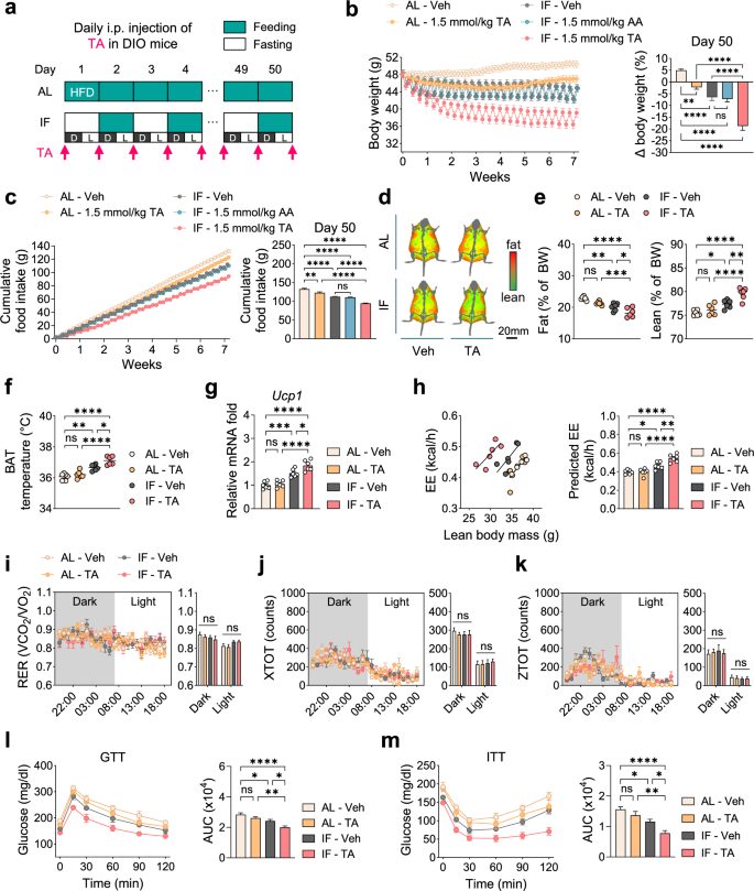 can i take glutathione while on intermittent fasting Threonic acid, an ascorbic acid metabolite, synergizes with intermittent  fasting to ameliorate obesity