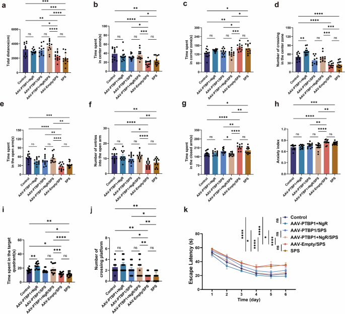 Fig. 8: PTBP1 and NgR KD demonstrates a more potential benefit for PTSD-like behaviors over PTBP1 KD alone, while also rescuing anxiety in normal PTBP1-KD mice.