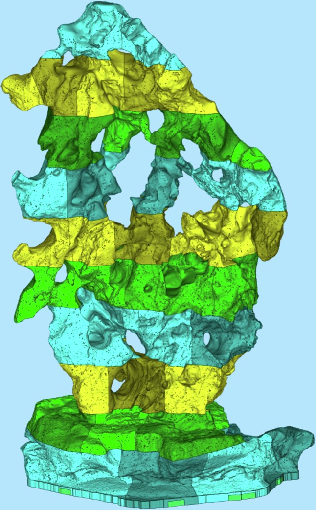 figure 19