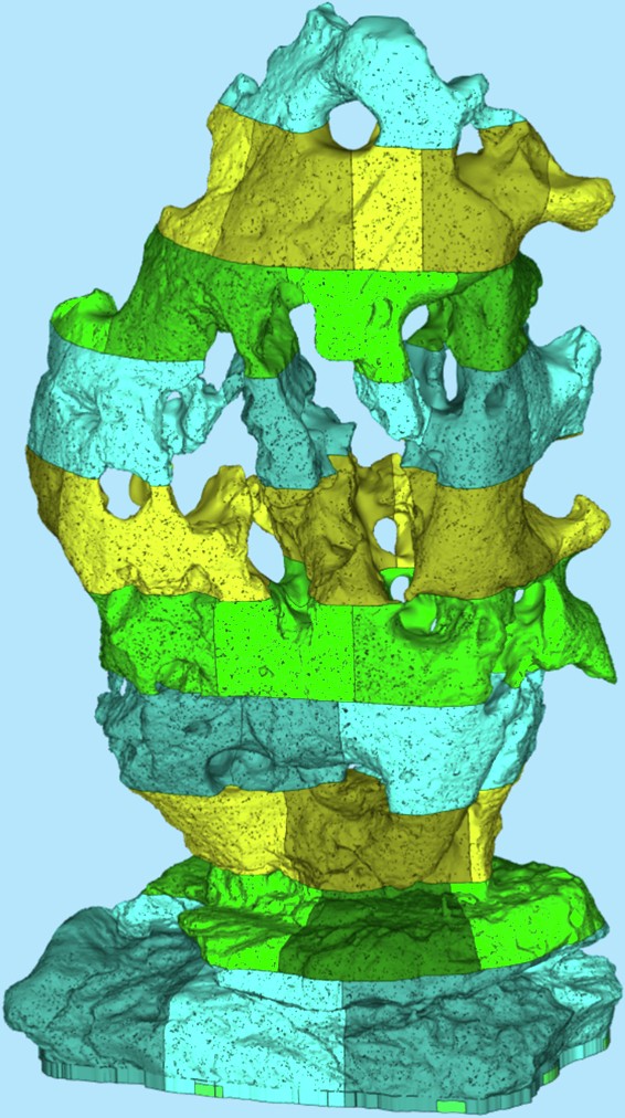 figure 20