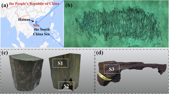 Fig. 1: The No. 2 shipwreck site on the Northwest Slope of the South China Sea and the collected samples.