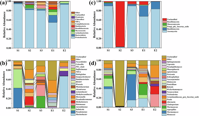 Fig. 6: Bacteria and fungi in waterlogged archaeological wood and its surrounding environment.