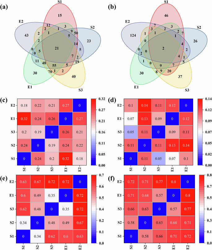 Fig. 7: The microbial community correlation of waterlogged archaeological wood and its surrounding environment.