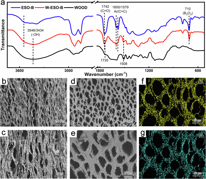 Fig. 3: The composition and structure of the W-ESO-B wood sample.