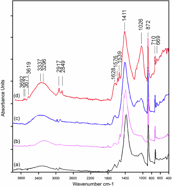 Fig. 5: FTIR-ATR spectra.