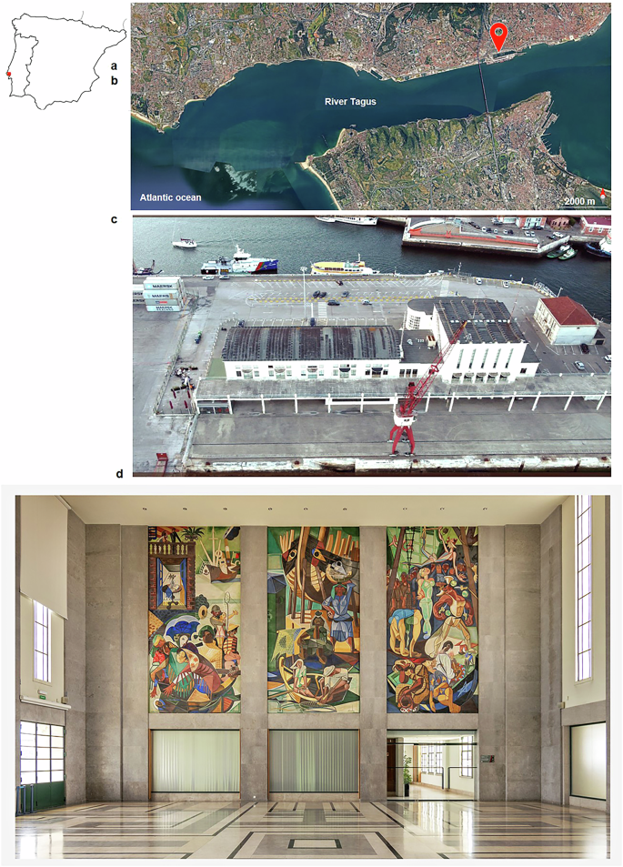 Assessment of microbial communities affecting Almada Negreiros’ mural paintings at a Maritime Station in Lisbon