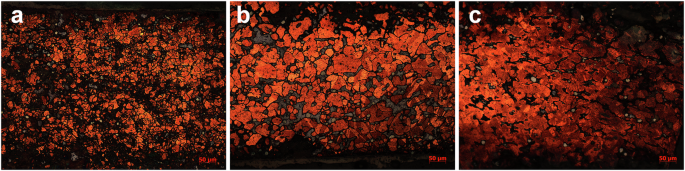 Fig. 9: Metallographic micrographs of M2:38’s samples.