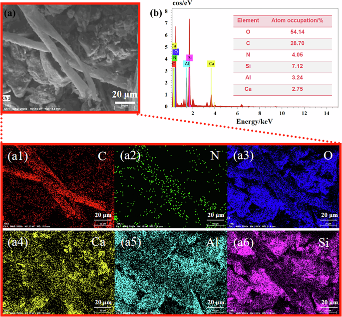 Fig. 3: SEM analysis and elemental distribution of leather fibers found in the soil.