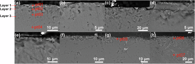 Fig. 10: SEM observation of the glaze cross-sections.