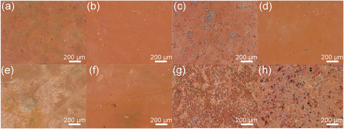 Fig. 3: Optical images of samples.