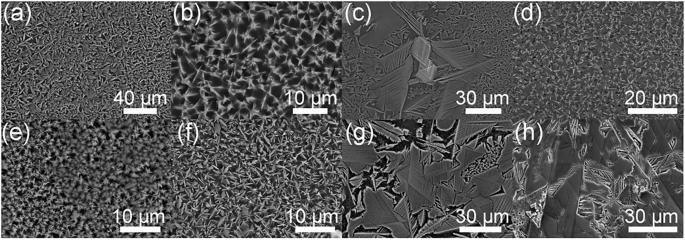 Fig. 7: SEM observation of the glaze surfaces.