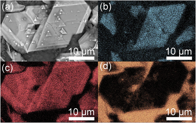 Fig. 8: SEM-EDS analyses of the polygon magnesioferrite crystals in Fig. 4c.