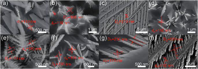 Fig. 9: SEM observation of the glaze surfaces after being etched.