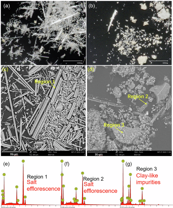 Fig. 4: Morphological and elemental characterization of efflorescence crystals.