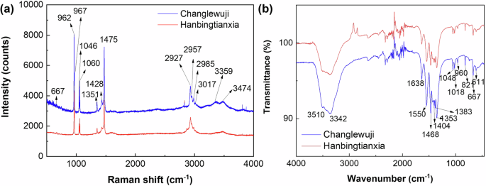 Fig. 5: Spectral analysis comparison of the white salt efflorescence.