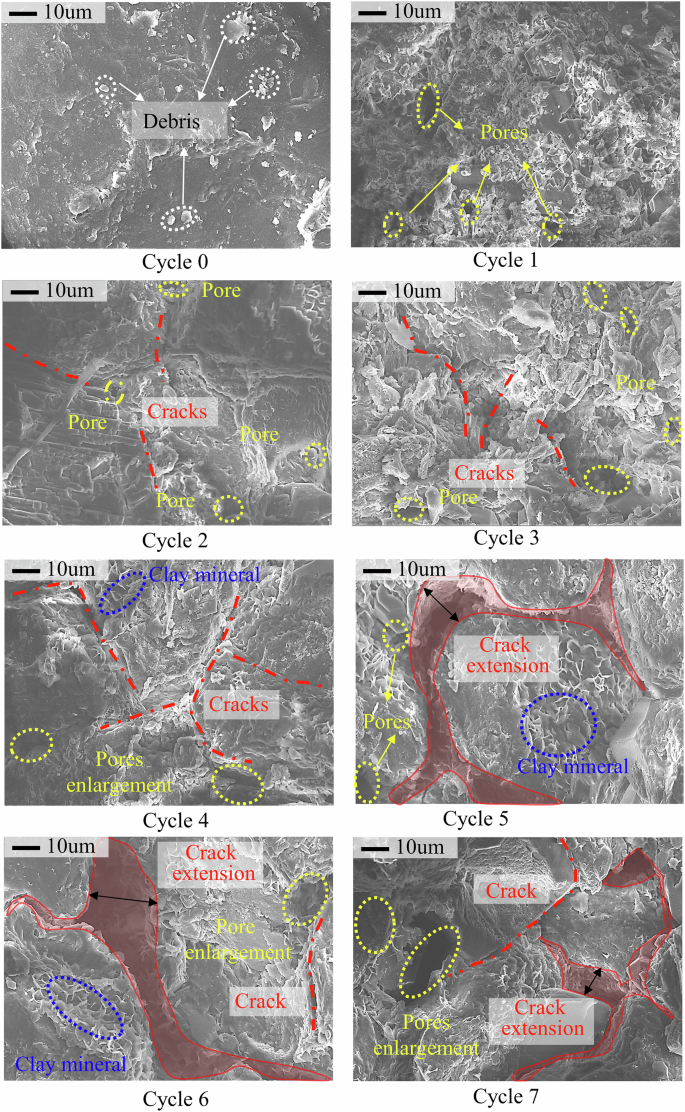 Fig. 8: Microstructural evolution characteristics of samples under different numbers of cycles.