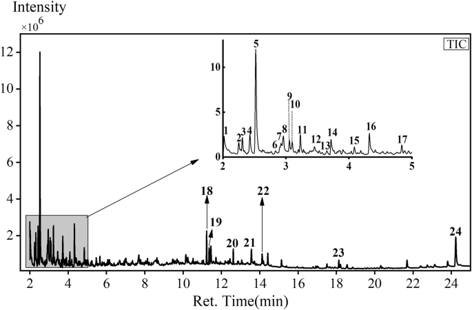 Fig. 10: The total ion chromatograms (TIC) of the black fiber sample.
