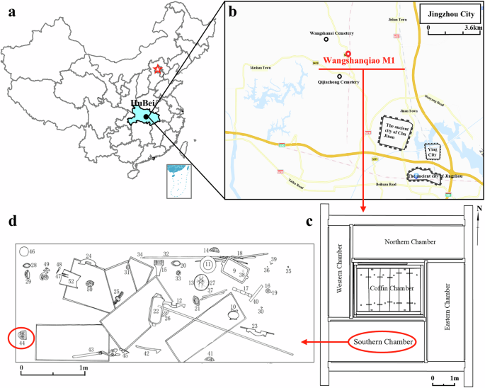Fig. 1: Sample provenance and excavation location of Wangshanqiao M1.