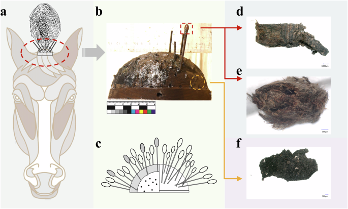 Fig. 2: Schematic diagram of M1:N44 Madao with samples.