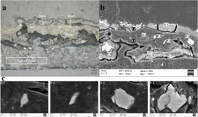 Fig. 3: The microscope photographs and BSE photograph of the lacquer film sample.