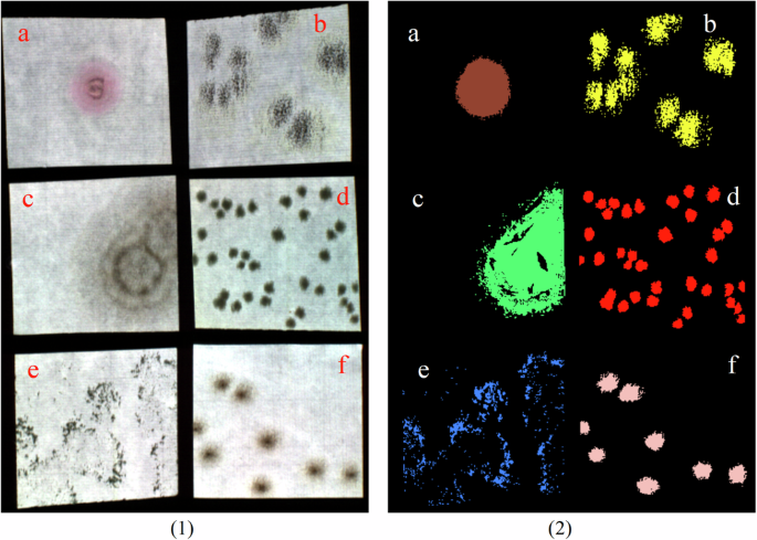 Fig. 5: Images of simulated mold spots.