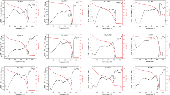 Fig. 4: TG-DTA curves of the samples analysed.
