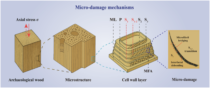 Micro-damage mechanisms in archaeological wood under axial stress at ...