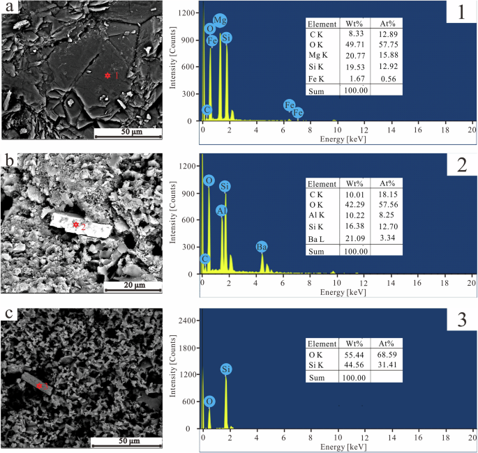 Fig. 3: Scanning electron microscopy (SEM) and energy-dispersive spectrometry (EDS) analyses of the samples.
