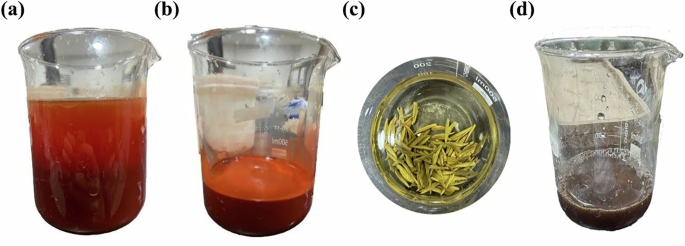Fig. 4: Rinsing process of ‘Shengfanhong’.