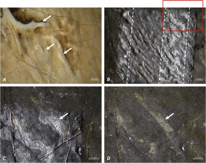 Fig. 3: Stereoscopic micrographs of the paint surface revealing traces of the acid attack.