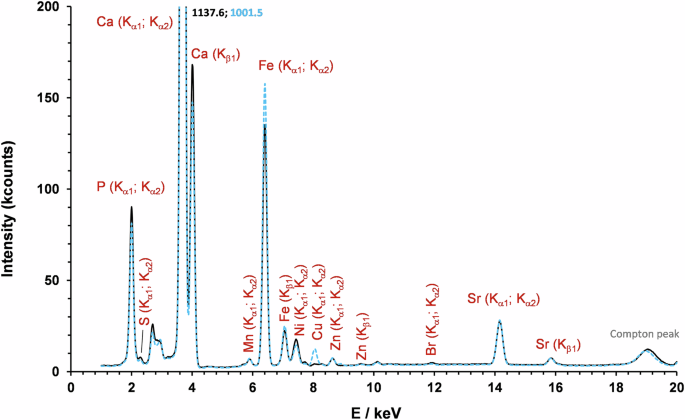 Fig. 4: Representative XRF spectra of ivory samples: Sample PHA (black continuous line) and sample BHA_34 (blue dotted line).