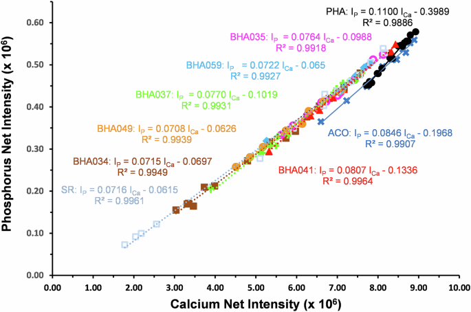 Fig. 5: Bivariate plot of phosphorous and calcium net intensities for the nine ivory samples and respective regression analysis.