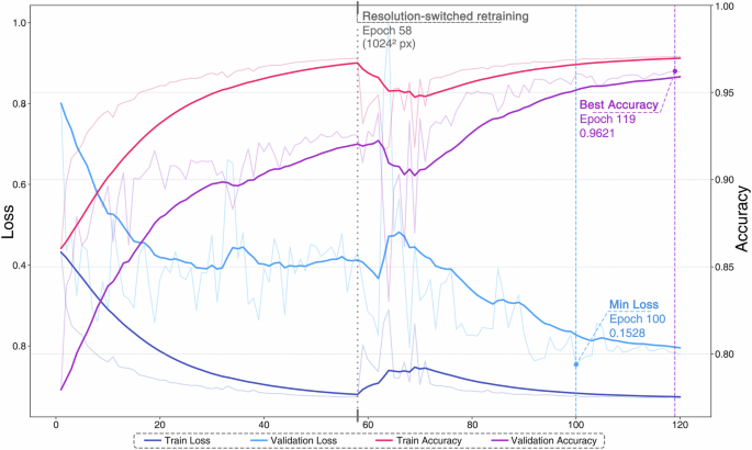 Fig. 9: Loss and accuracy curves of training and validation sets.