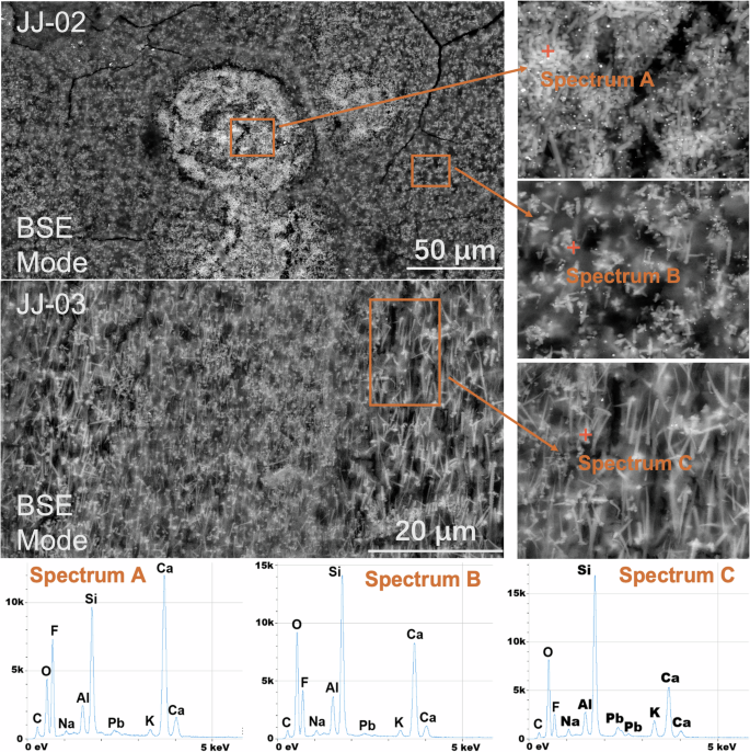 Fig. 4: Microstructure of some samples.