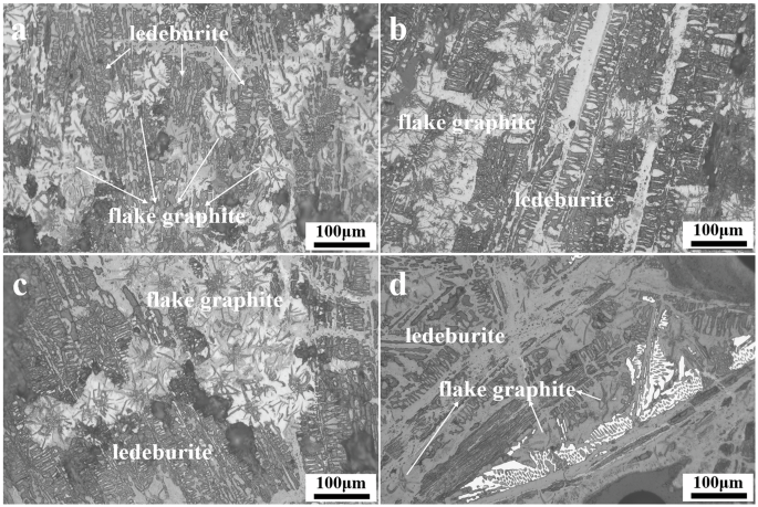 Fig. 5: Metallographic Structure of Mottled Iron.