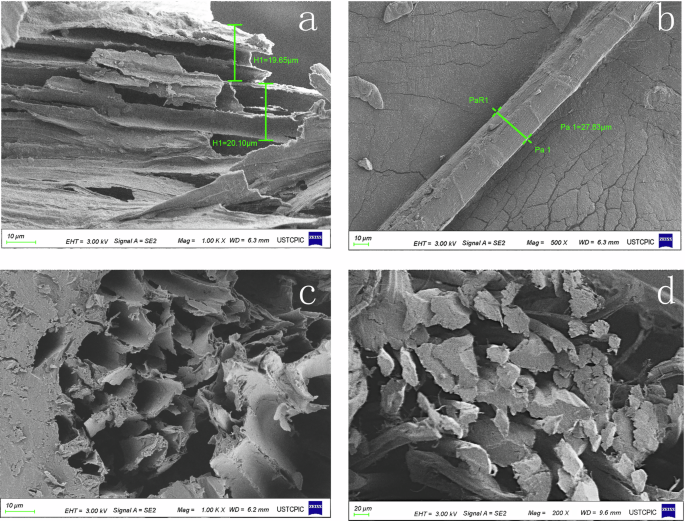 Fig. 3: SEM images of fiber morphologies.