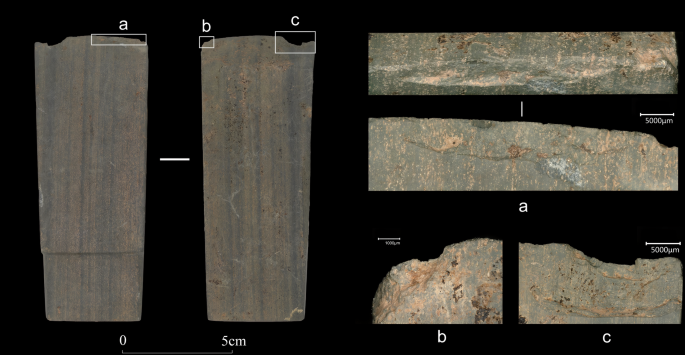 Fig. 11: Use-wear on stone adze No. 2016SZT29③:2.