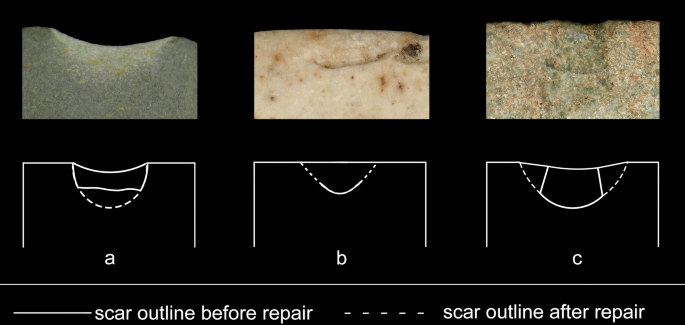 Fig. 17: Diagrams of scar morphology related to repair.