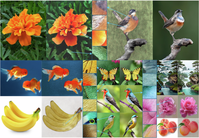 Fig. 14: Demonstration of our method’s performance on high-resolution images.