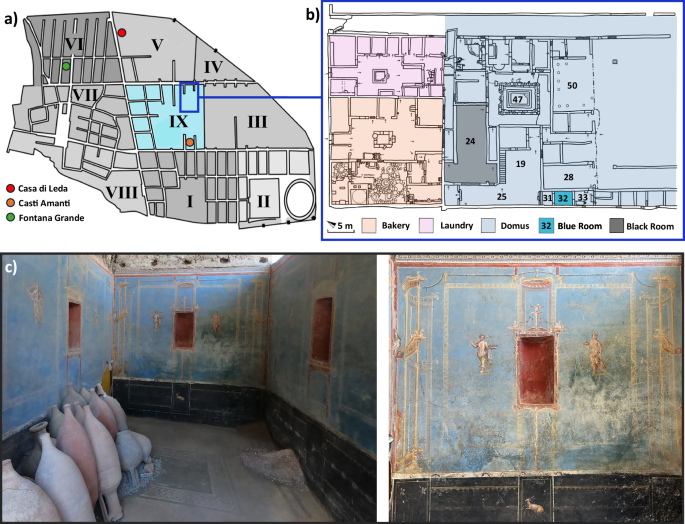 Fig. 1: Location and interior of the Blue Room in Pompeii.