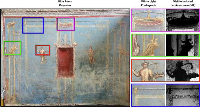 Fig. 5: Selected VIL of painted decorations inside of the Blue Room.
