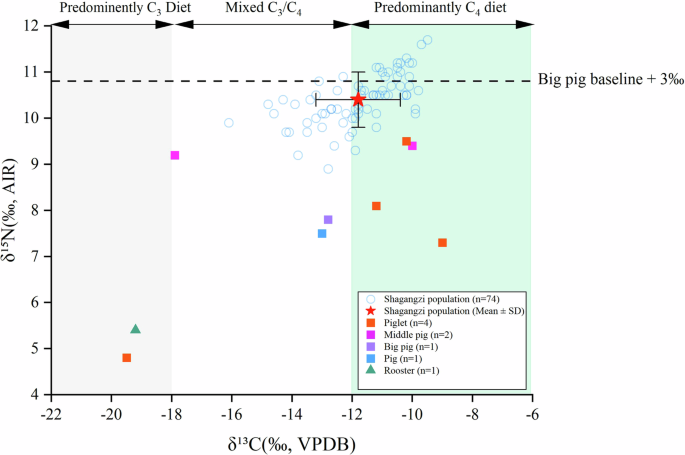 Fig. 5: Bivariate plot of carbon (δ¹³C) and nitrogen (δ¹⁵N) stable isotope values for human and faunal bone collagen from Shagangzi Cemetery.