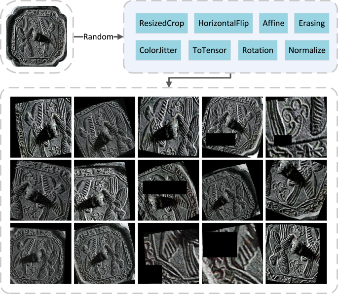 Fig. 4: Examples of random image data augmentation.