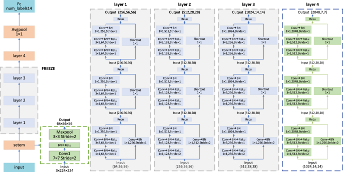 Fig. 5: ResNet50 model architecture diagram.