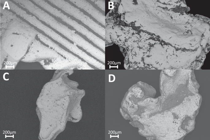 Fig. 7: BSD images produced using Scanning Electron Microscopy.