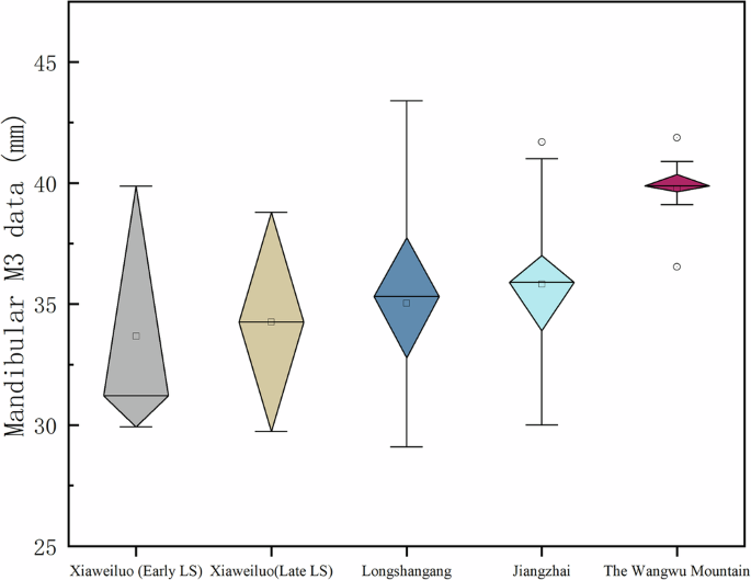 Fig. 3: Comparison of mandibular M3 measurements among pig populations.