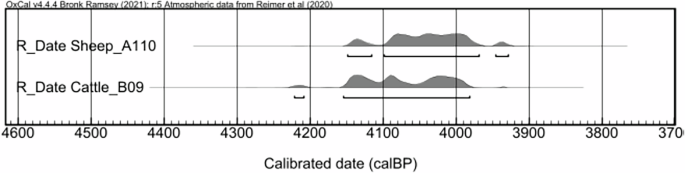 Fig. 6: Radiocarbon dating results of animal bones from Xiaweiluo.