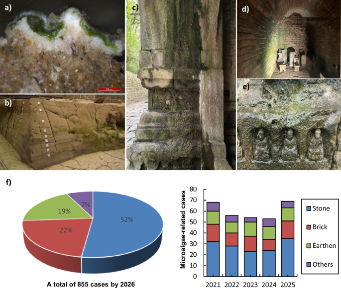 Fig. 1: Examples of microalgal colonization at the archeological sites.